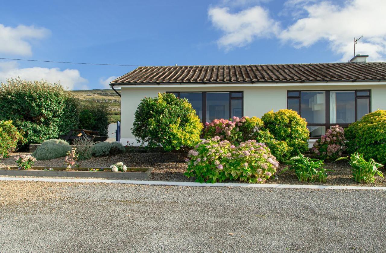 Villa Dolphin Watch Wild Atlantic Way Fanore Exterior foto