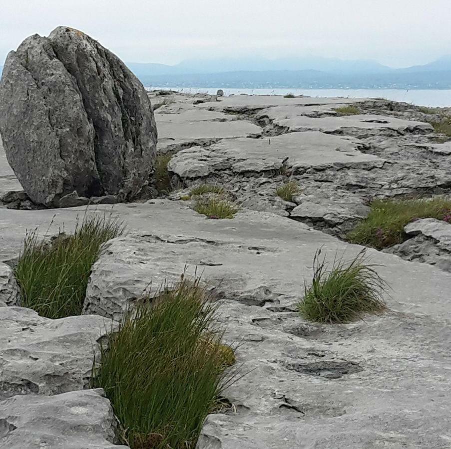 Villa Dolphin Watch Wild Atlantic Way Fanore Exterior foto